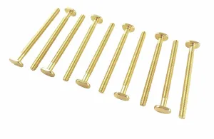 10 Piece 5/16" x 18 TPI Sliding T Bolts