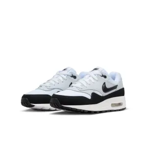 Air Max 1 DZ3307-106