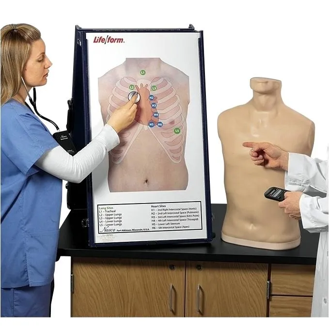 Complete Auscultation Training Station