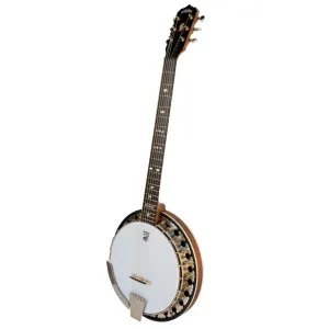 Deering Boston  6-string Resonator w/Case