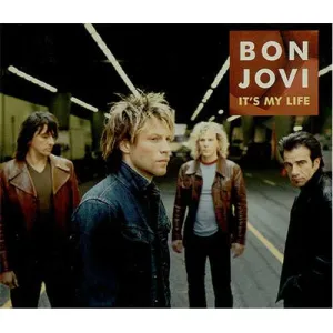 It's My Life by Bon Jovi (Cm)