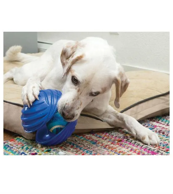 Kong Rambler Ball Interactive Dog Toy