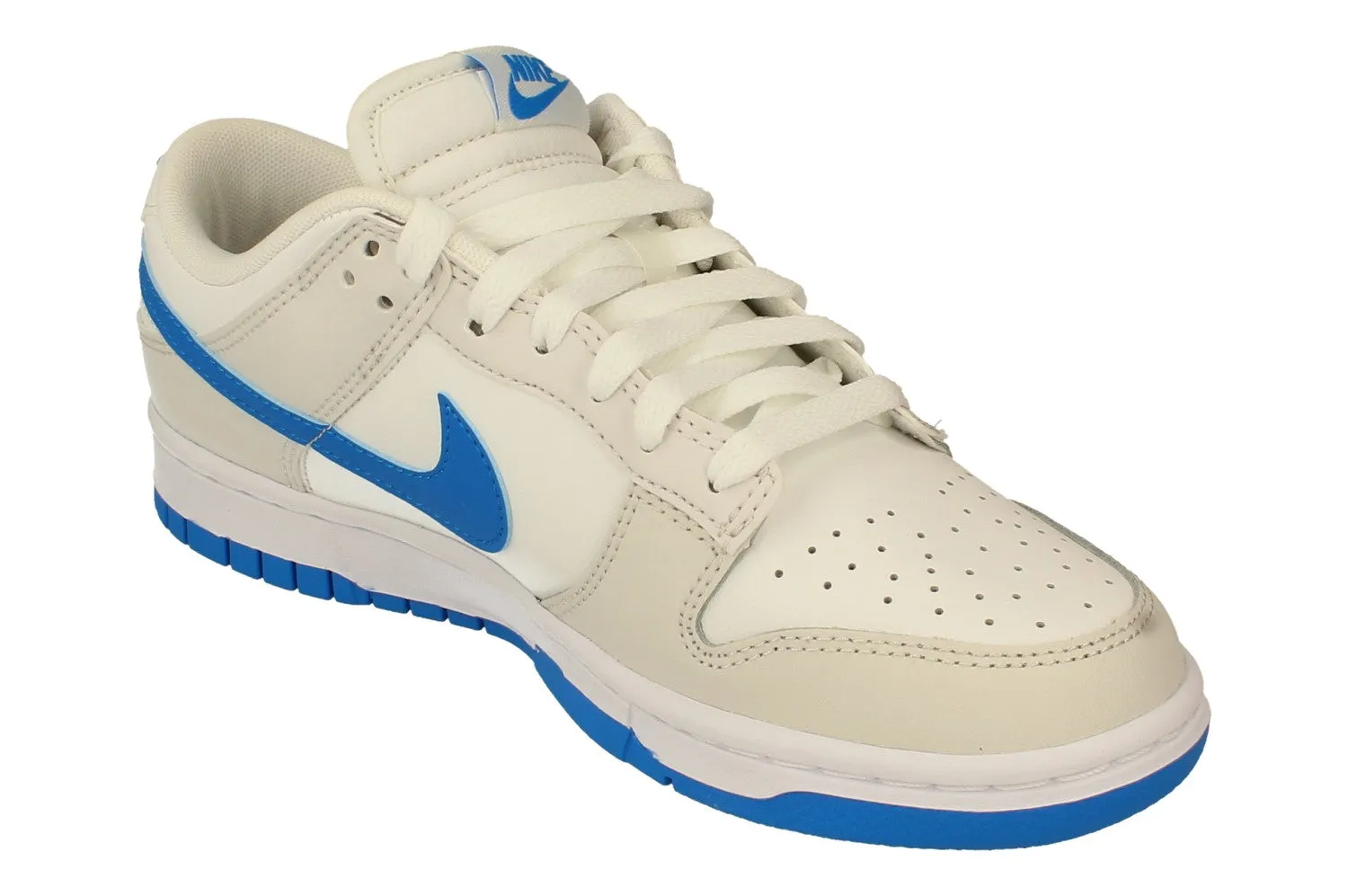 Nike Dunk Low Retro Mens Trainers DV0831 108