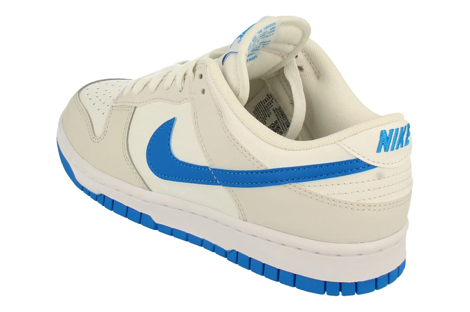 Nike Dunk Low Retro Mens Trainers DV0831 108