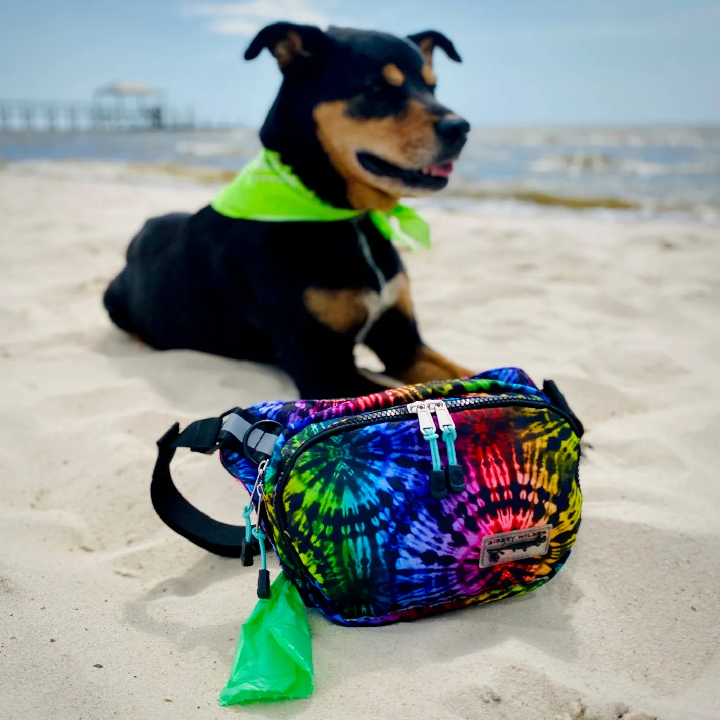 Rainbow Tie-Dye Rover Hip Pack 2.0