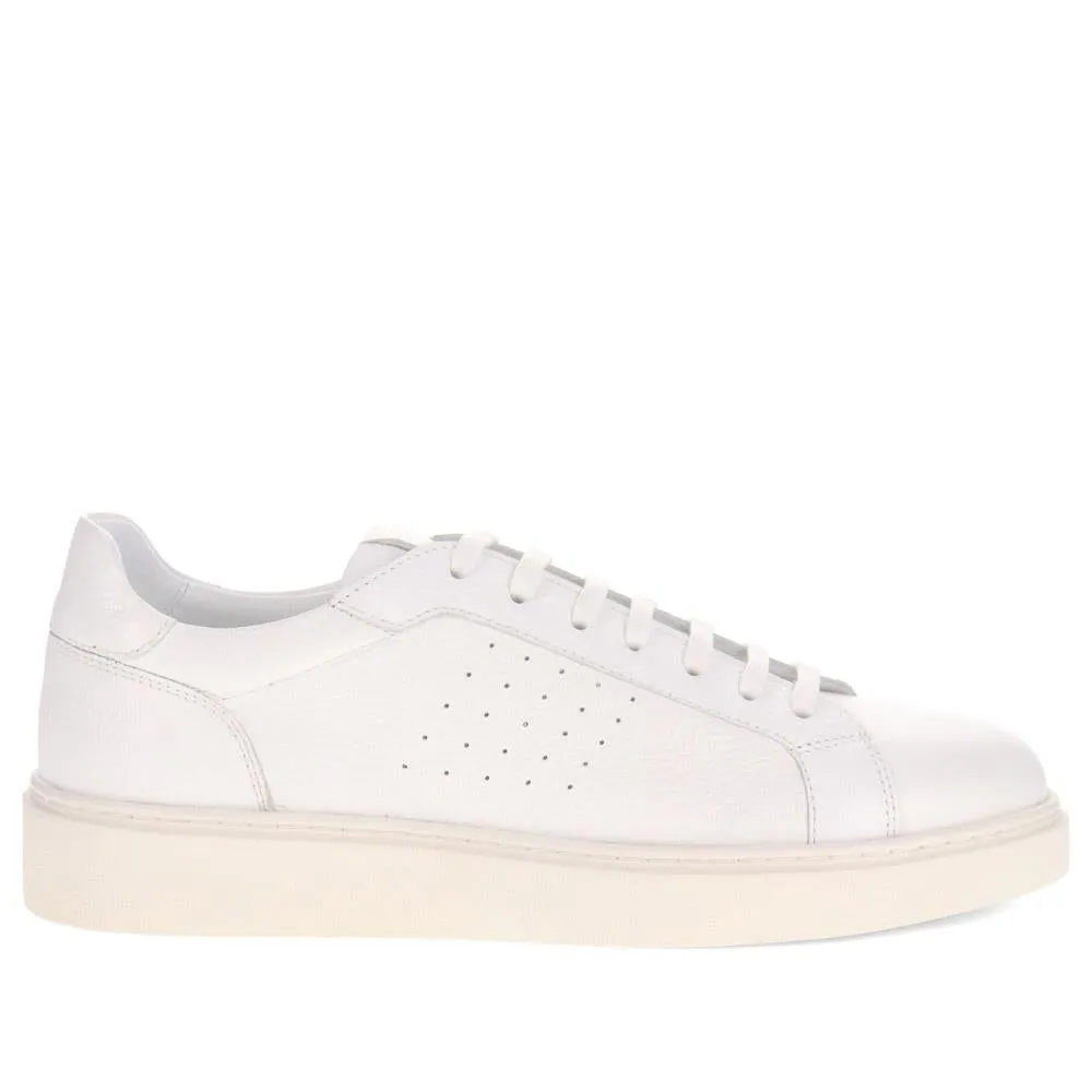 Sammy Leather Trainers  - SAMMY / 326 356